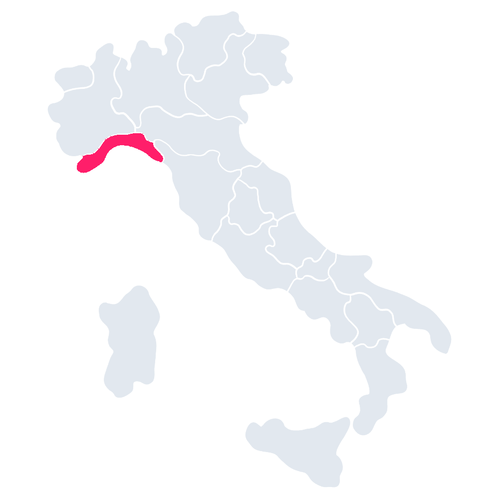 Le badanti