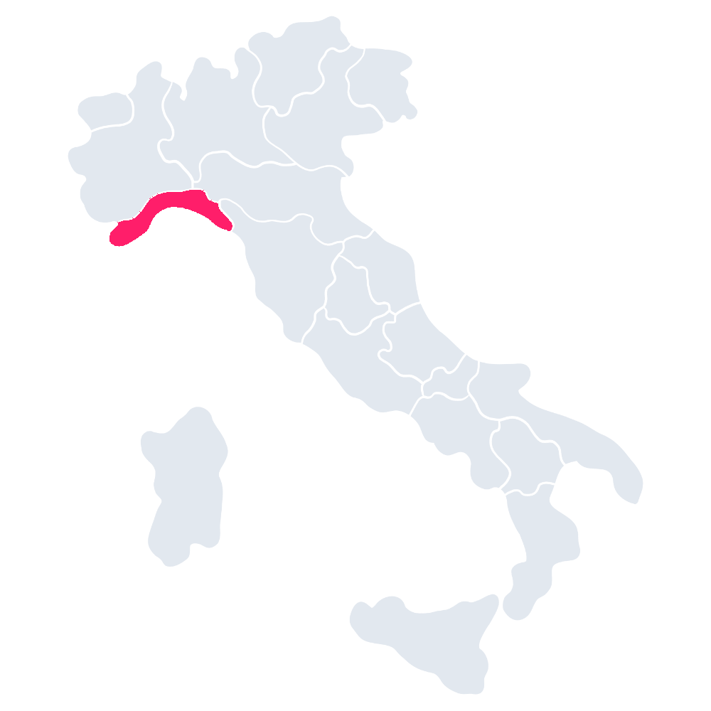 Le badanti